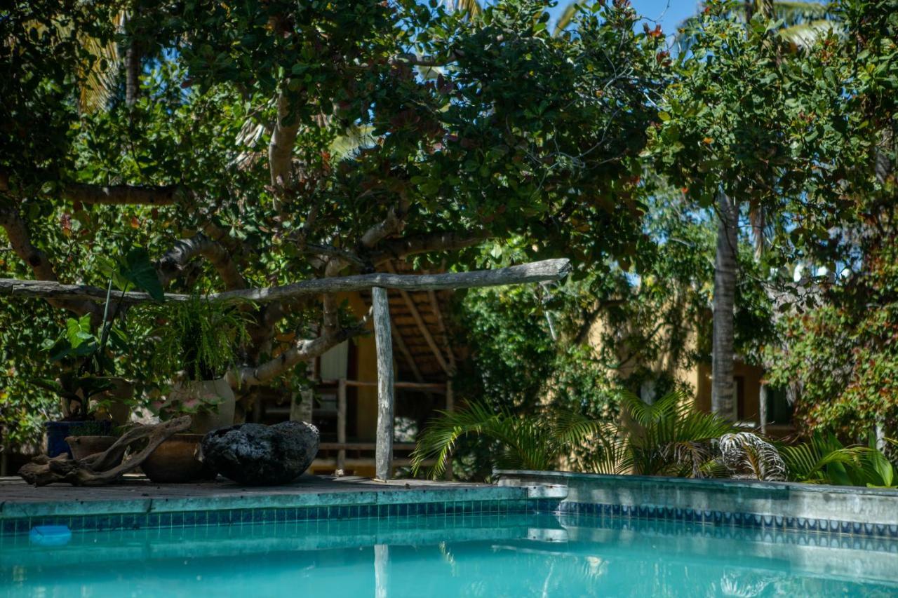 Turtle Cove Lodge And Yoga Shala Praia do Praia do Tofo Eksteriør bilde