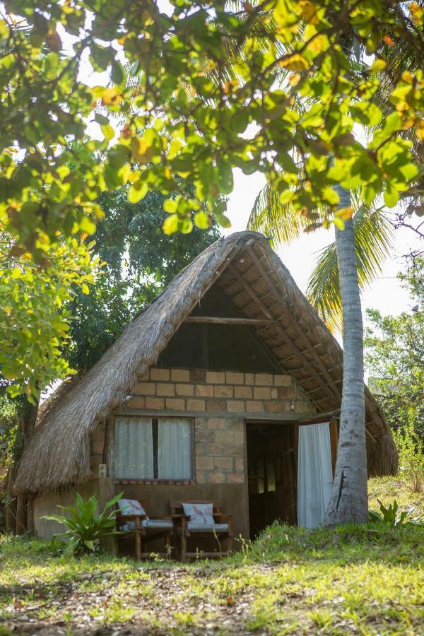 Turtle Cove Lodge And Yoga Shala Praia do Praia do Tofo Eksteriør bilde